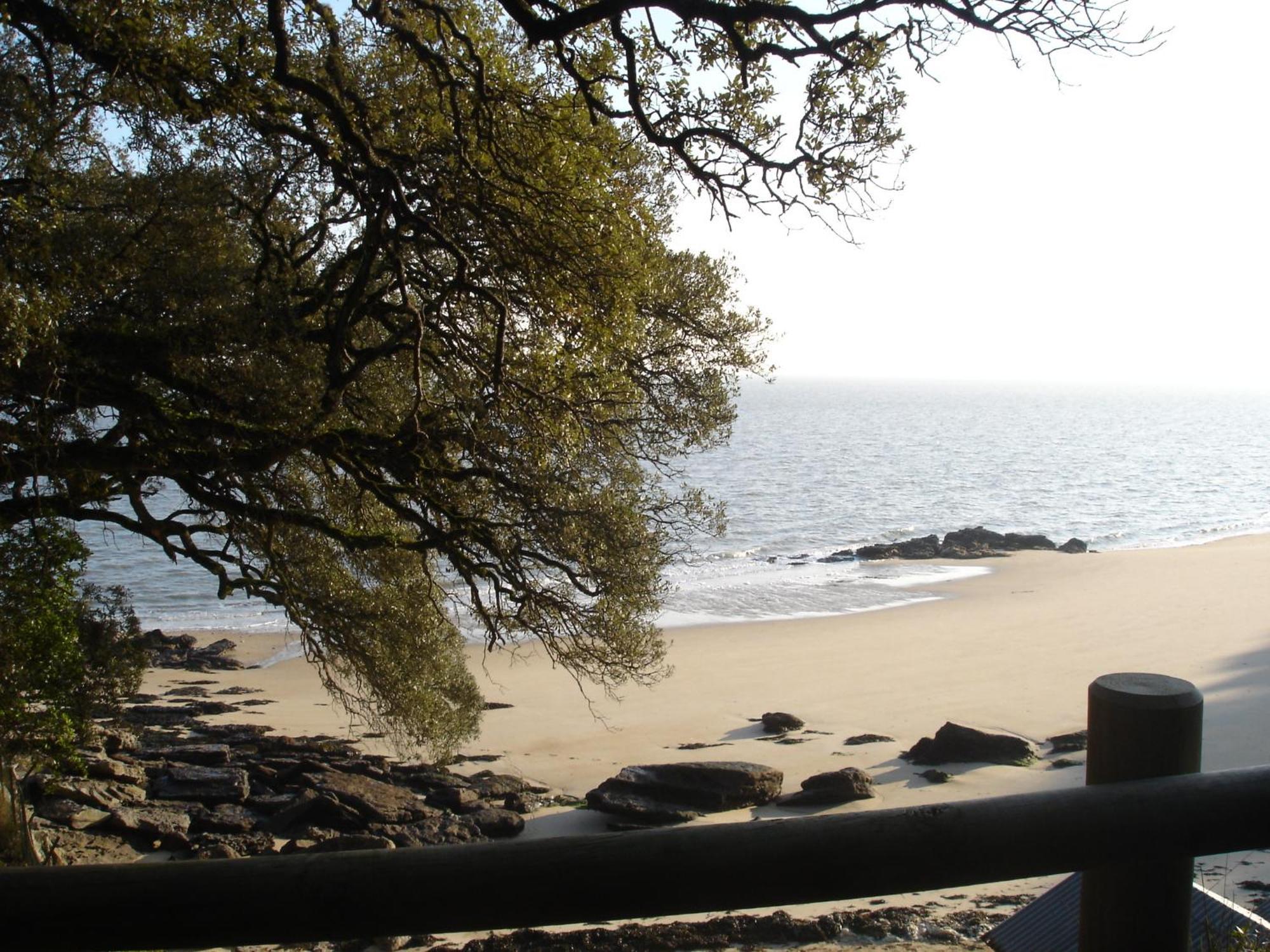Bed & Breakfast Le Buzet Bleu Noirmoutier-en-l'Ile